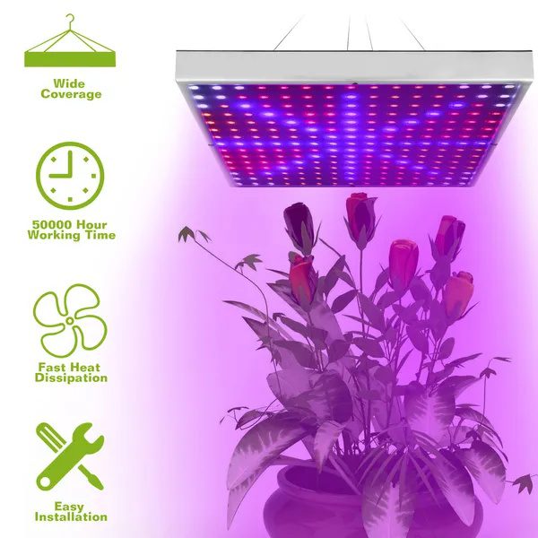 Full Spectrum LED Grow Light - Image 5