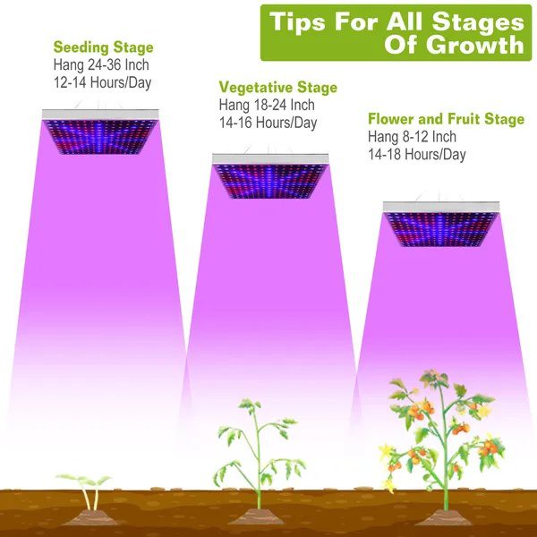 Full Spectrum LED Grow Light - Image 2